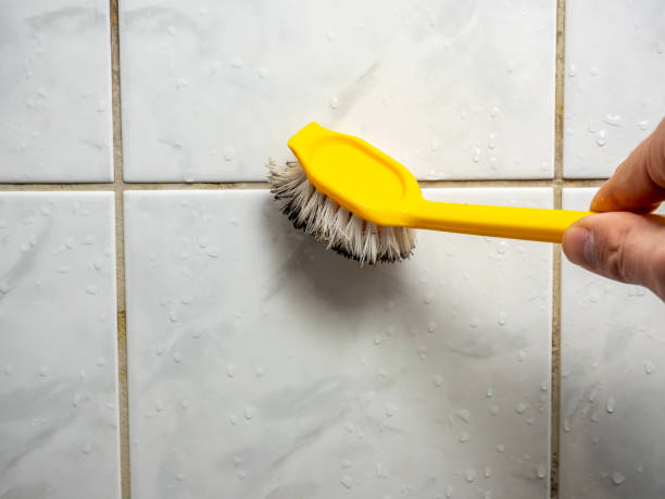 Best Mold Testing  in Mays Landing, NJ